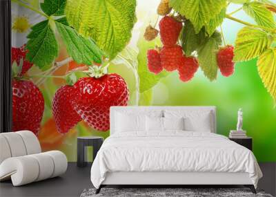 strawberries ripe witch raspberries Wall mural