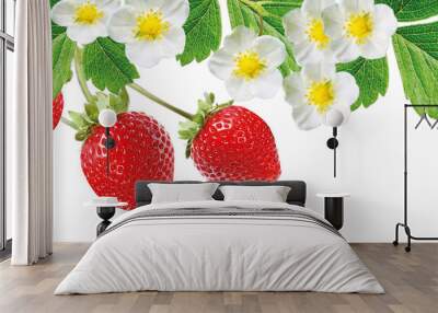 tasty red summer freshness strawberries Wall mural