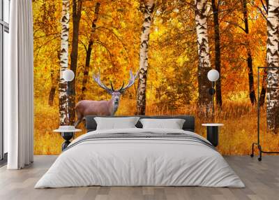 The adult male deer on a background of  autumn forest, wildlife Wall mural