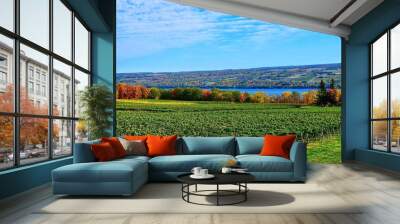 Landscape with vineyard, mountains and Seneca Lake, in the heart of Finger Lakes Wine Country, New York  Wall mural