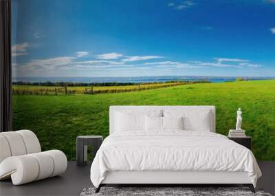 Rural landscape panorama with green field, vineyard on Cayuga Lake, in Finger Lakes region, New York. Wine tasting with tent and outdoor table settings from the winery Wall mural