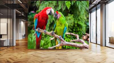 Two parrots telling secrets Wall mural