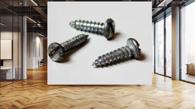 Self tapping screws solated on white background Wall mural