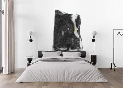 Black and white stone with unique patterns displayed on a white background Wall mural