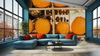 Bright orange pumpkins displayed on wooden shelves at a local farm during autumn harvest season Wall mural