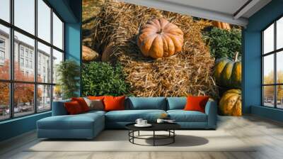 Colorful pumpkins arranged near hay bales in a rural field during autumn harvest season Wall mural