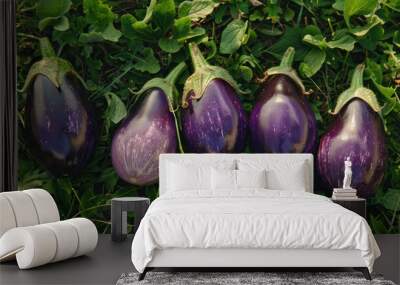 Group of purple eggplant on lush green field Wall mural