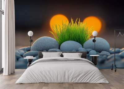 Small green grass sprouts between smooth gray stones at sunset Wall mural