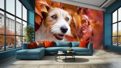 Happy cute pet dog puppy listening in the red autumn leaves. Fall, thanksgiving background. Wall mural