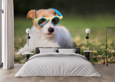 Pet dog wearing sunglasses, happy hot summer concept, web banner, background with copy space Wall mural