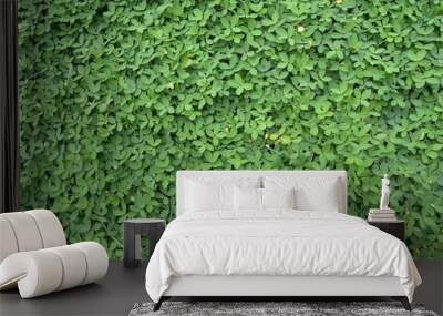 Grass texture background  Wall mural