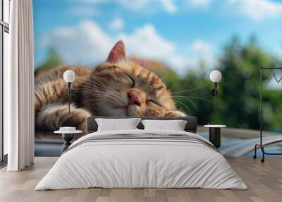 Sleeping Cat Enjoying a Nap on Car Roof Wall mural