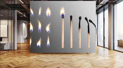 Realistic 3d vector illustration of whole and burnt wooden matchsticks and different flame icon set. Stages of match or wood stick burning or ignition from fire isolated on transparent background. Wall mural