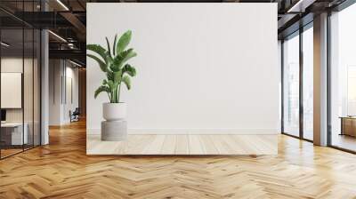 Empty room white walls with beautiful plants sideways on the floor.3d rendering. Wall mural