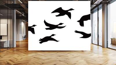 Canada goose silhouette design. wild duck flying in group. Wall mural