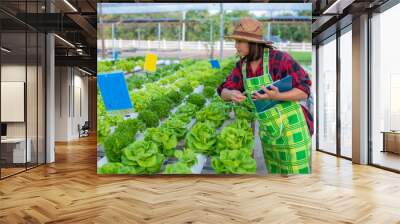 Asian farmer woman working at the salad farm,Planting Organic hydroponic vegetable for small business Wall mural