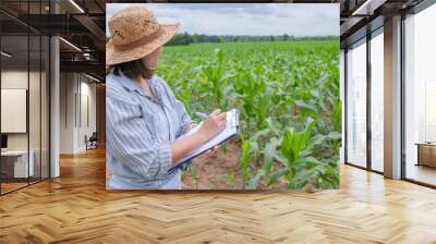 Female farmer working at corn farm,Collect data on the growth of corn plants Wall mural