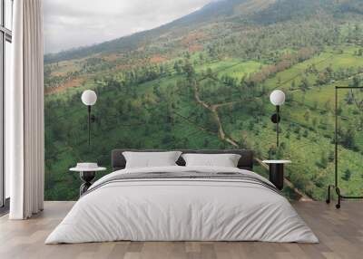 Aerial view of mountain valley with green scenery in Sindoro vulcano Wall mural