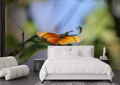 butterfly on flower Wall mural