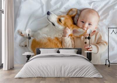 An infant and ginger corgi pembroke laying on a white sheet and looking at the camera, top view. Relationships between baby and dog. Baby biting dog's ear. Fur allergy. Families with pets and newborn. Wall mural