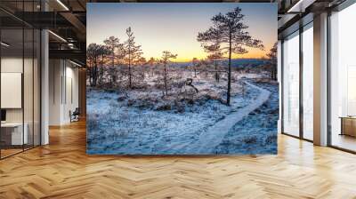 Wooden path through marsh covered with snow. Beautiful winter evening and cold frosty winter sunset. Selective focus. Kakerdaja nature trail. Estonia. Wall mural