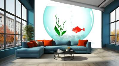 Poisson rouge dans son aquarium Wall mural