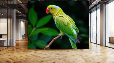 Green parrot with red beak and light blue rear crown sitting on twig isolated against dark green jungle background Wall mural