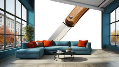 Hunting knife with wooden haft isolated Wall mural