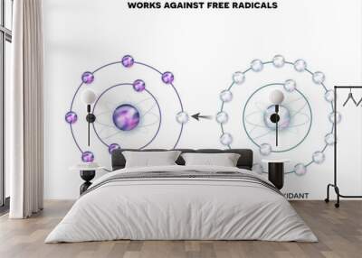 How antioxidant works against free radicals. Antioxidant donates missing electron to Free radical, now all electrons are paired. Wall mural