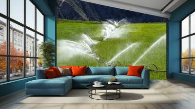 Watering, wheel line sprinkler irrigation Wall mural