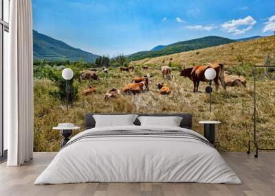 Cows in the field Wall mural