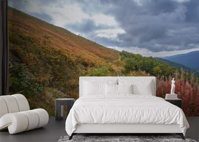 An old, dirt road in the fall mountains, among dry grass and thickets of wild blueberries Wall mural