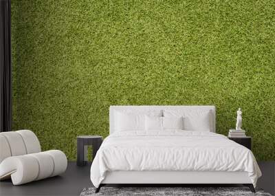 green grass texture background Wall mural