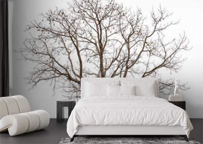 Single old and dead tree isolated Wall mural