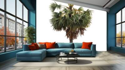 Sugar palm trees isolated Wall mural