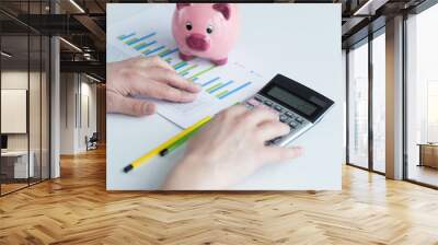 MAN WORKING WITH REPORTS AND PIGGY BANK CONCEPT Wall mural