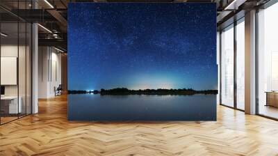 A magical starry night on the river bank with a large tree and a milky way in the sky and falling stars in the summer. Wall mural