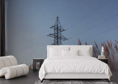 View of electrics, electric lines on the background of blue sky and good weather. Wall mural