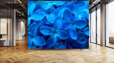 blue lilac flowers macro photo Wall mural