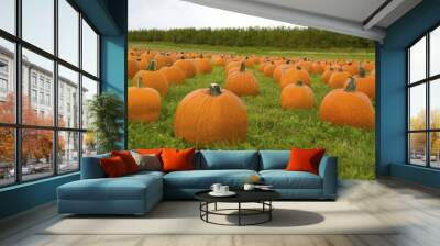 Field of pumpkins Wall mural