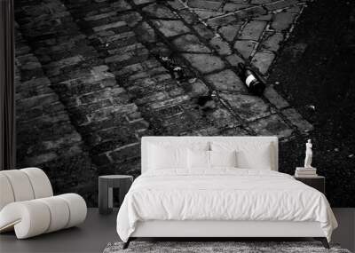 black and white background Wall mural