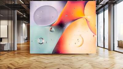 Abstract colorful background. Oil and water drops. Rainbow blurred texture. 3d render illustration Wall mural