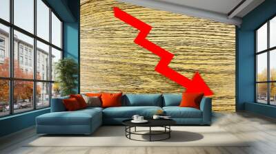 Red arrow. Falling, crisis, down.  Simply Business economical concept. Finance and trading symbol. Wall mural