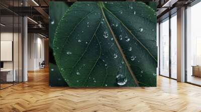 a close-up of a leaf with water droplets on it Wall mural