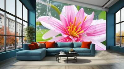 Lily flower with a water splash Wall mural