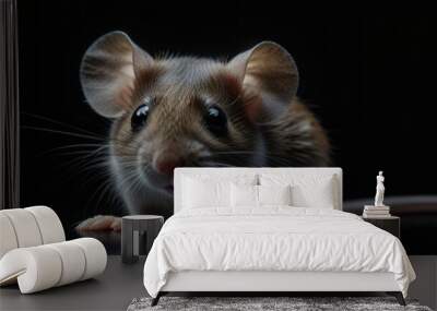 mouse over a black background Wall mural