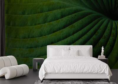 Macro Leaf Wall mural