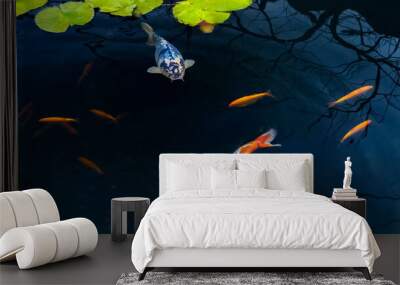 Famous Colorful asian fish Koi carp, colored varieties of Amur carp float in an artificial pond, water garden. , view from above Wall mural