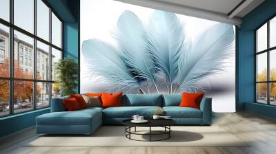 Feather Dusters isolated on transparent background. Wall mural