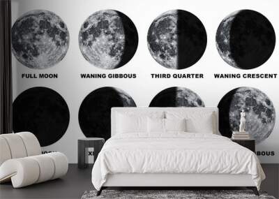 Phases of the Moon With Label Isolated on Transparent Background
 Wall mural